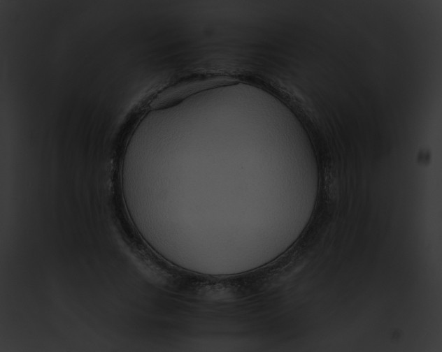 X0000091860735200710031040