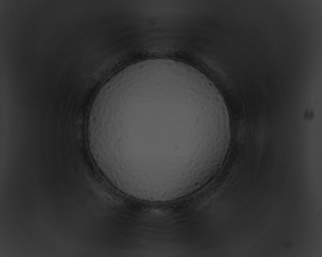 X0000091860737200710031040