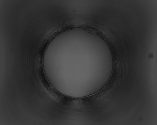 X0000091860744200710031040