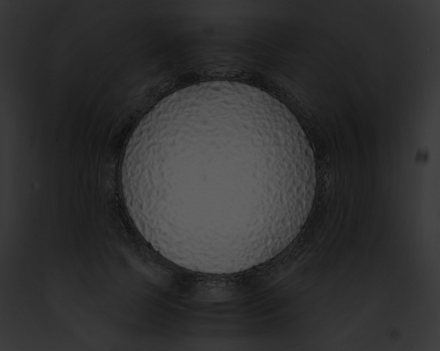 X0000091860745200710031040