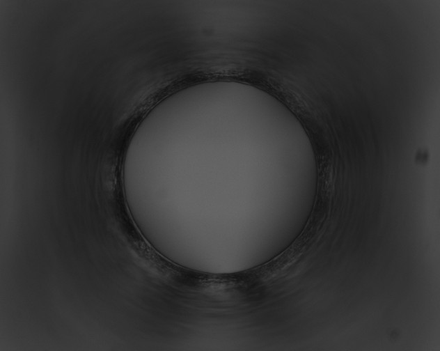 X0000091860746200710031040