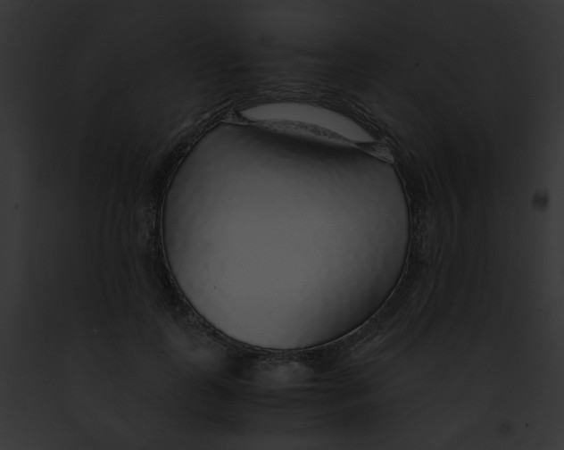 X0000091860747200710031040