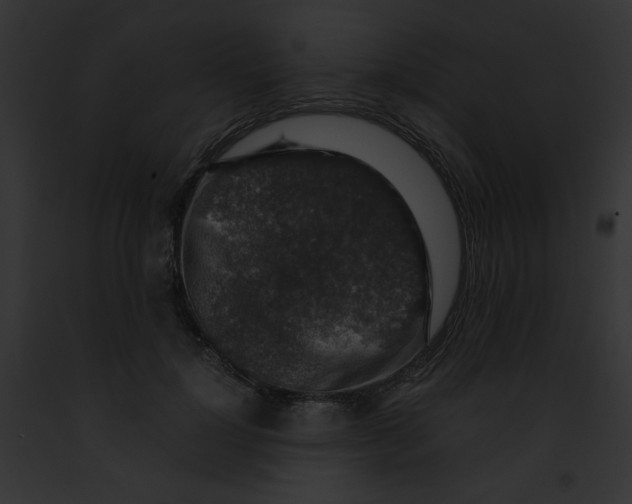 X0000091860748200710031040