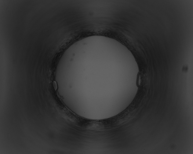 X0000091860750200710031040