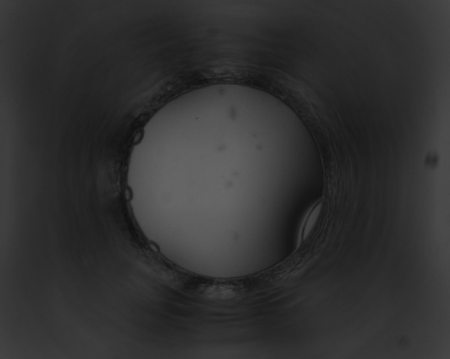 X0000091860751200710031040