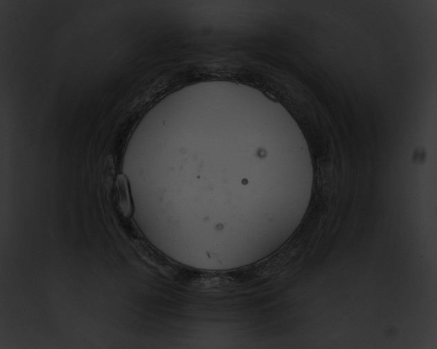 X0000091860752200710031040