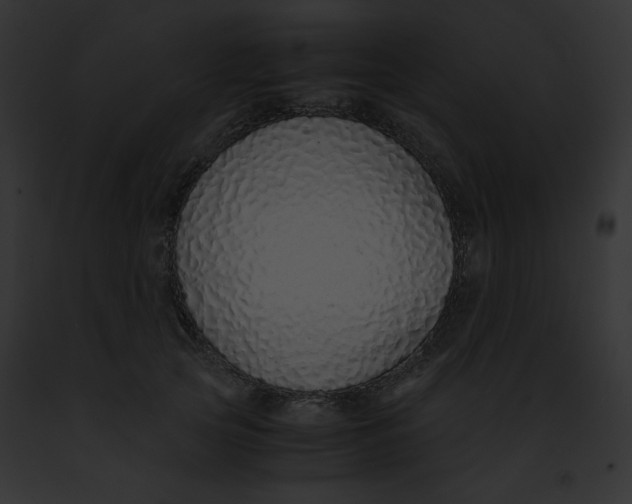 X0000091860753200710031040