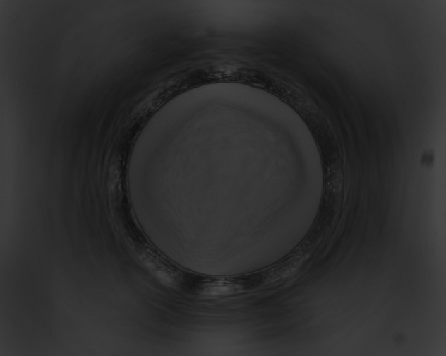 X0000091860754200710031040