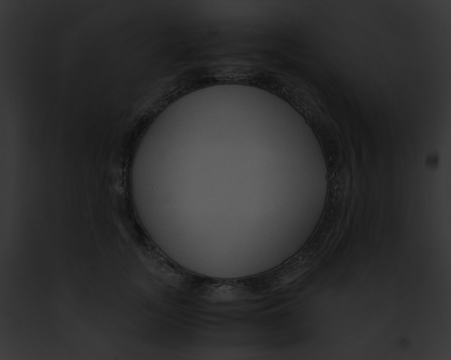 X0000091860755200710031040