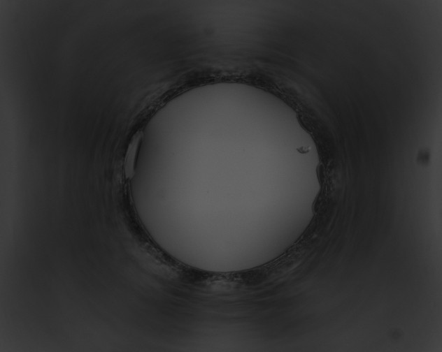 X0000091860756200710031040