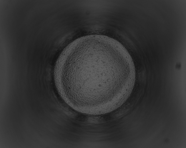 X0000091860757200710031040