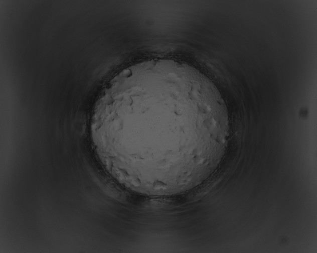 X0000091860758200710031040