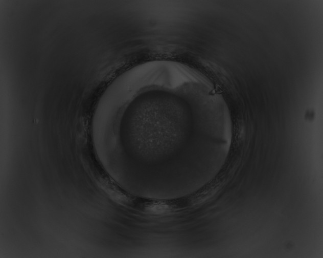 X0000091860759200710031040