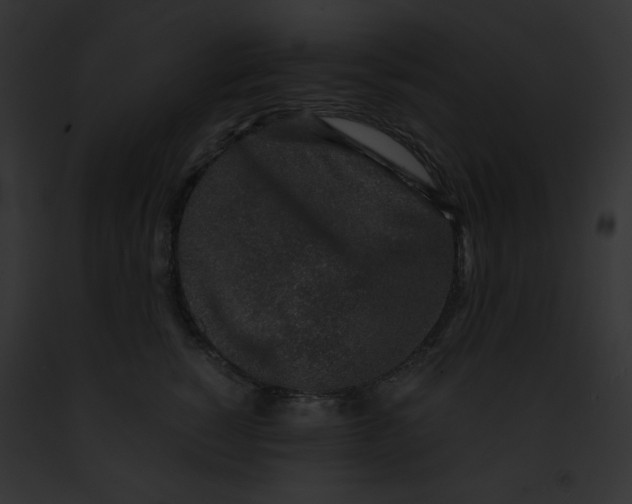 X0000091860760200710031040