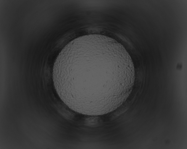 X0000091860761200710031040