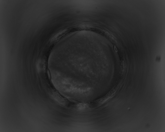 X0000091860762200710031040