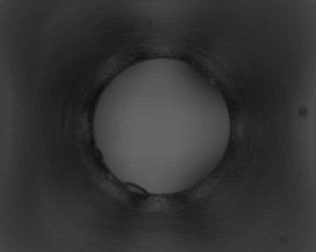 X0000091860764200710031040