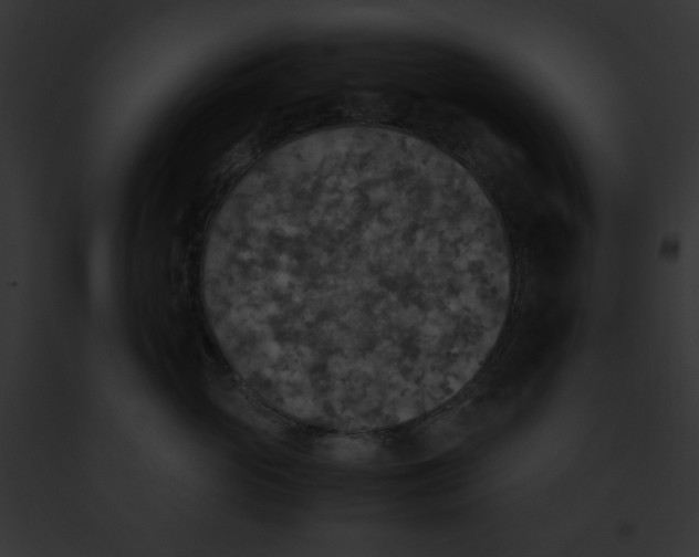 X0000091860765200710031040