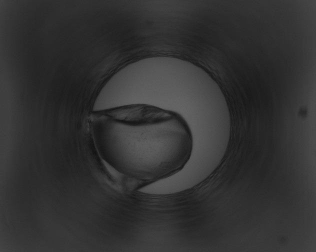 X0000091860766200710031040