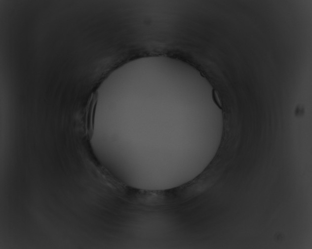 X0000091860768200710031040