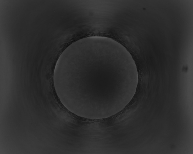 X0000091860769200710031039