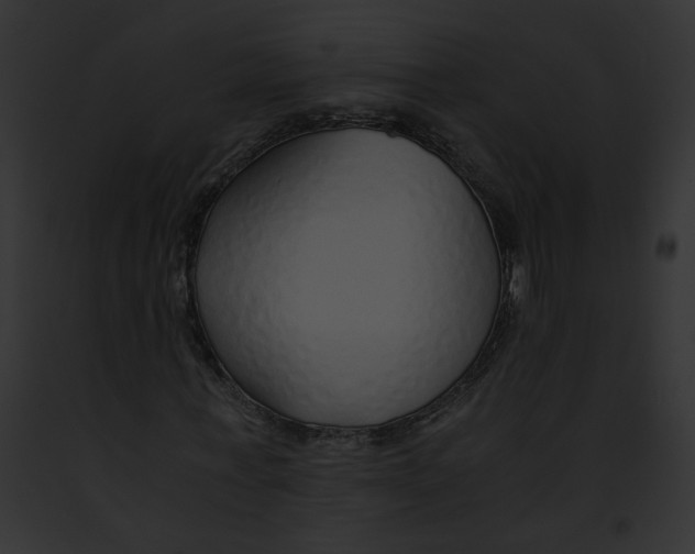 X0000091860771200710031039