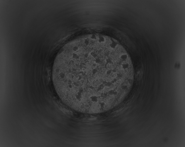 X0000091860772200710031039