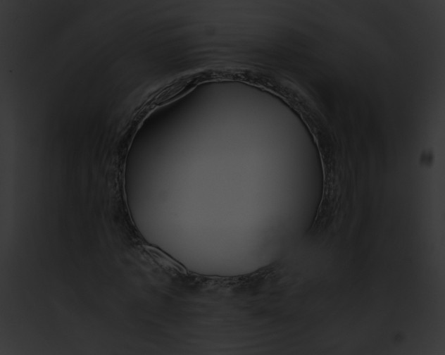 X0000091860773200710031039