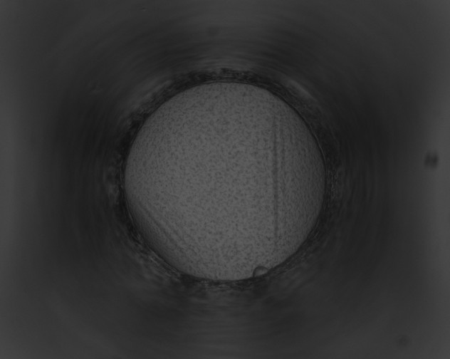 X0000091860774200710031039