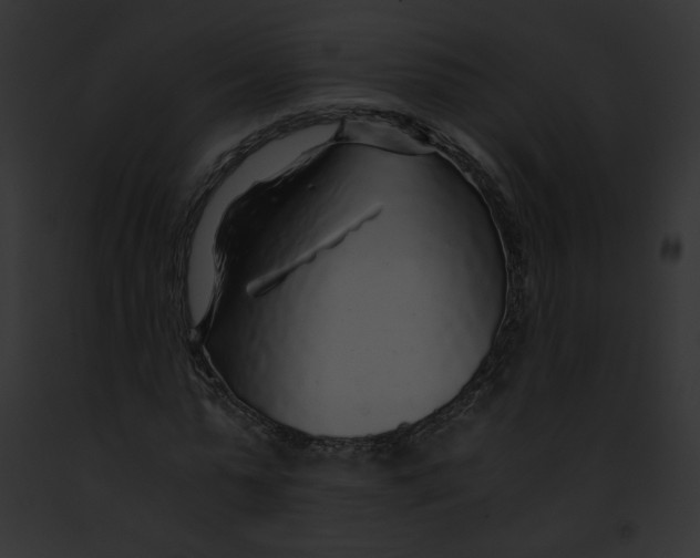 X0000091860775200710031039