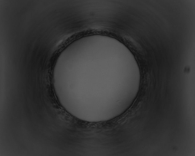 X0000091860776200710031039