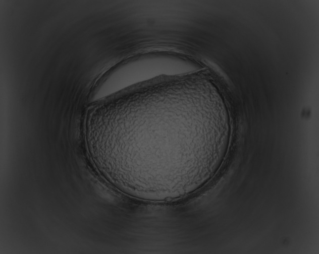 X0000091860777200710031039