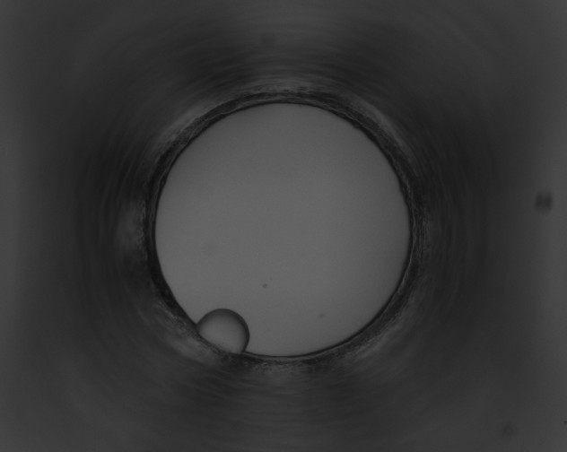 X0000091860778200710031039