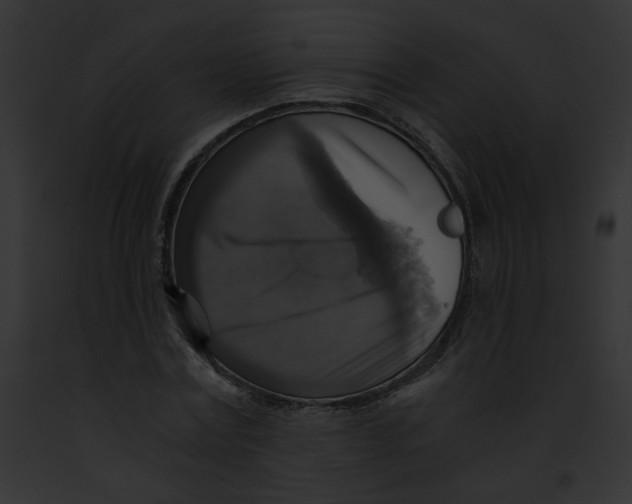 X0000091860779200710031039