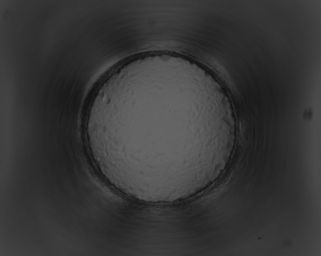 X0000091860780200710031039