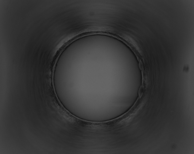 X0000091860781200710031039