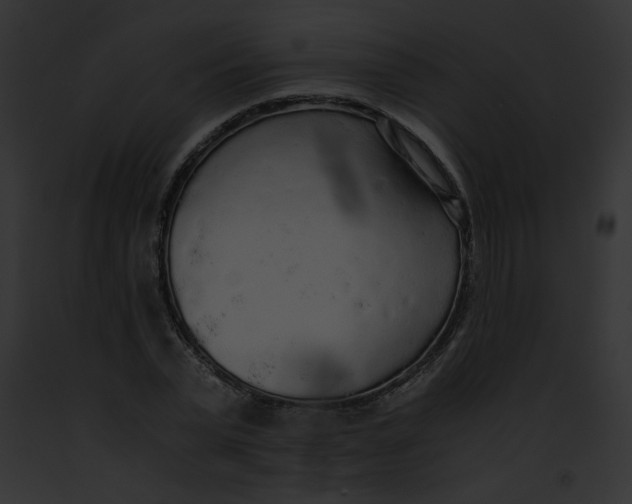 X0000091860783200710031039