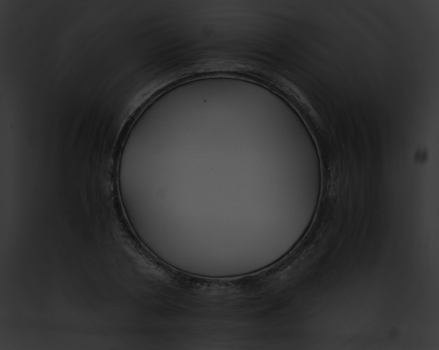 X0000091860786200710031039