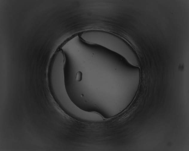 X0000091860788200710031039