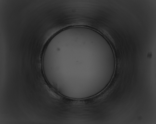 X0000091860789200710031039