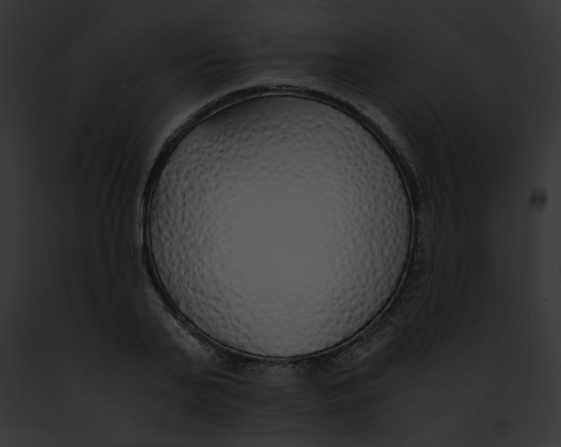 X0000091860791200710031039