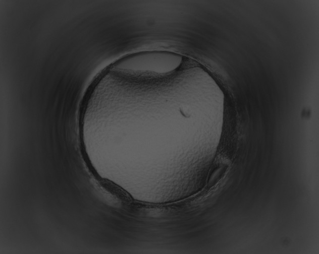 X0000091860792200710031039