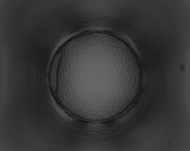 X0000091860795200710031039