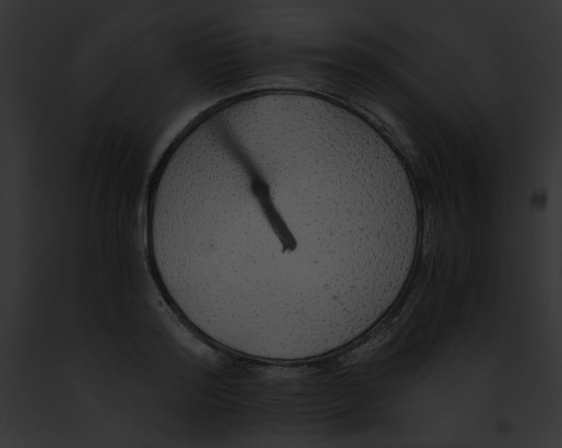 X0000091860796200710031039