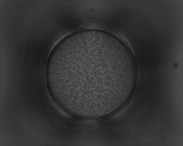 X0000091860798200710031039