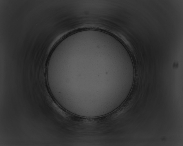 X0000091860799200710031039