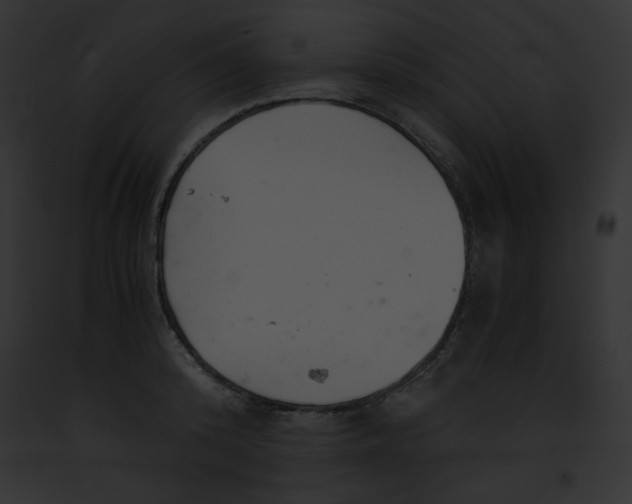 X0000091860800200710031039