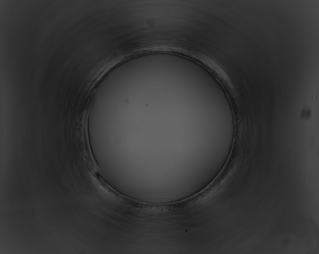 X0000091860801200710031039