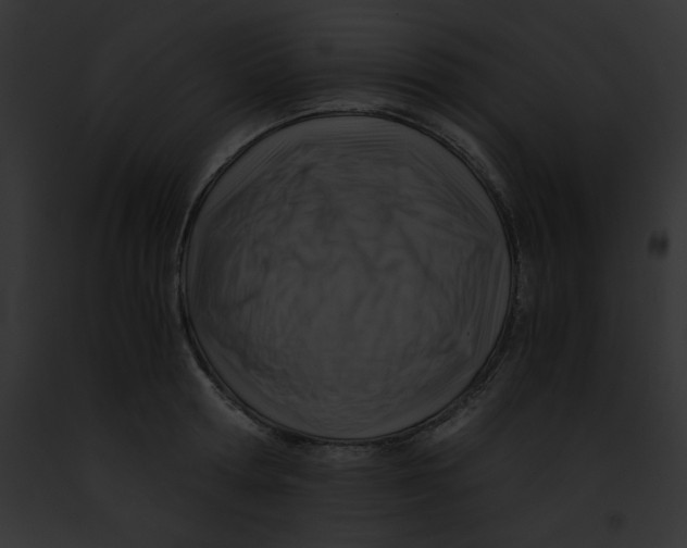 X0000091860802200710031039