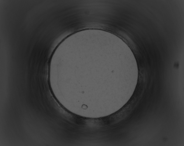 X0000091860804200710031039